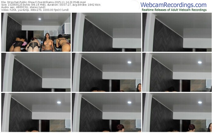 stripchat-zoe-williams-11-14-2025-01-35-48