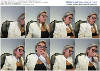 stripchat-_cata-office1-11-14-2025-22-27-29