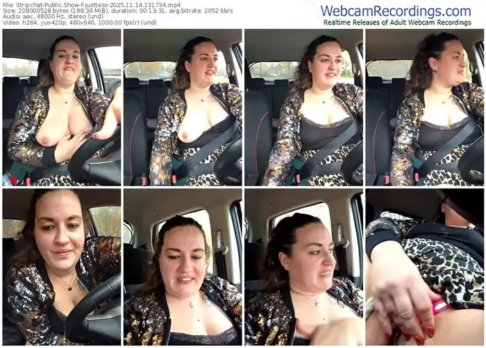 stripchat-justtess-11-14-2025-13-17-34