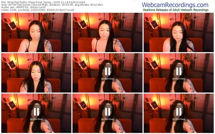 stripchat-mei_honey_-11-14-2025-02-25-22