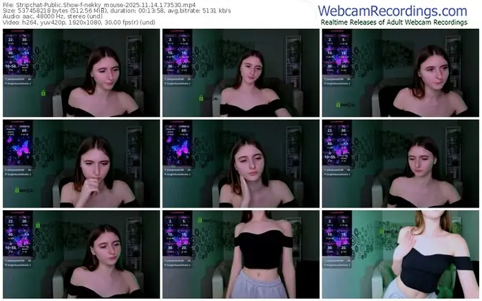 stripchat-nekky_mouse-11-14-2025-17-35-30