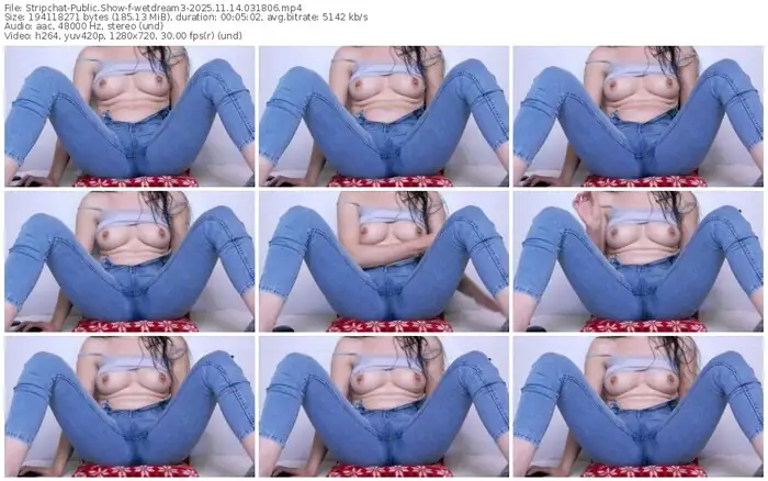 stripchat-wetdream3-11-14-2025-03-18-06