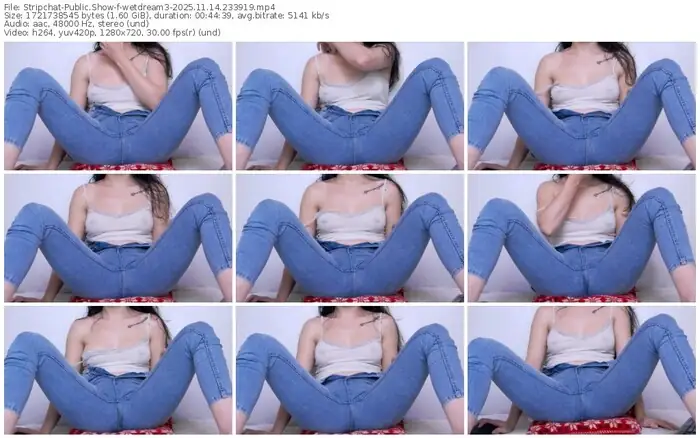 stripchat-wetdream3-11-14-2025-23-39-19