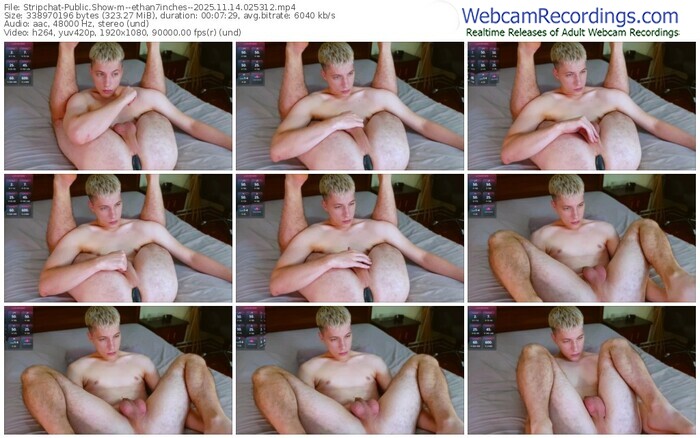 stripchat--ethan7inches--11-14-2025-02-53-12