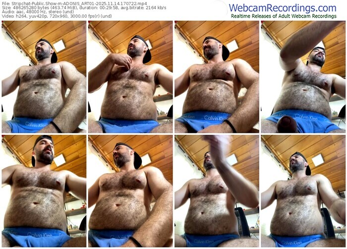 stripchat-adonis_art01-11-14-2025-17-07-22