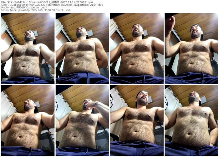 stripchat-adonis_art01-11-14-2025-22-06-28