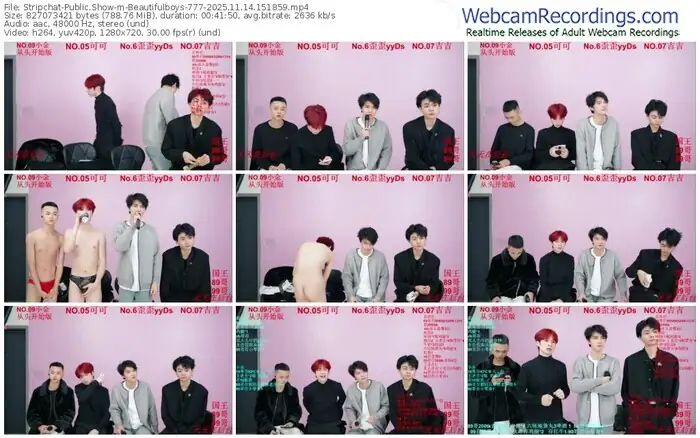 stripchat-beautifulboys-777-11-14-2025-15-18-59