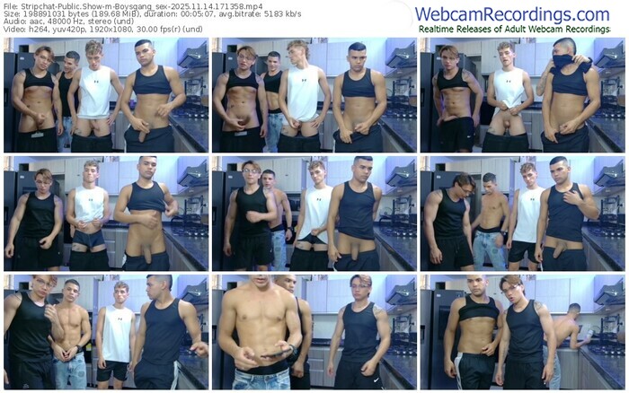 stripchat-boysgang_sex-11-14-2025-17-13-58