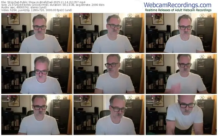 stripchat-briefsdad-11-14-2025-21-13-57