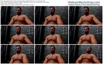 stripchat-david_big_daddy-11-14-2025-14-29-24