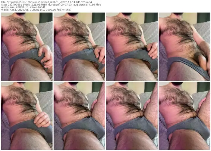 stripchat-deckard_webb1_-11-14-2025-04-15-25