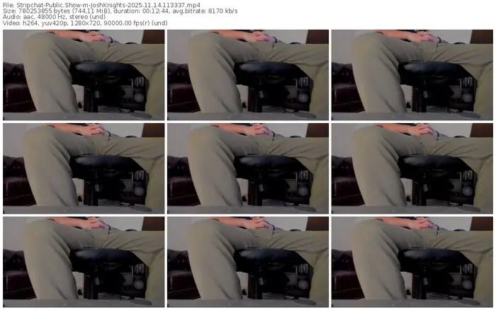 stripchat-joshknights-11-14-2025-11-33-37