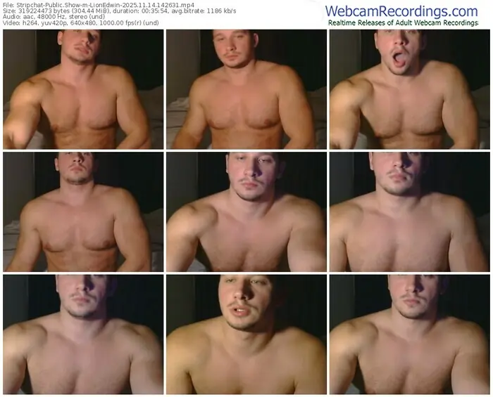 stripchat-lionedwin-11-14-2025-14-26-31