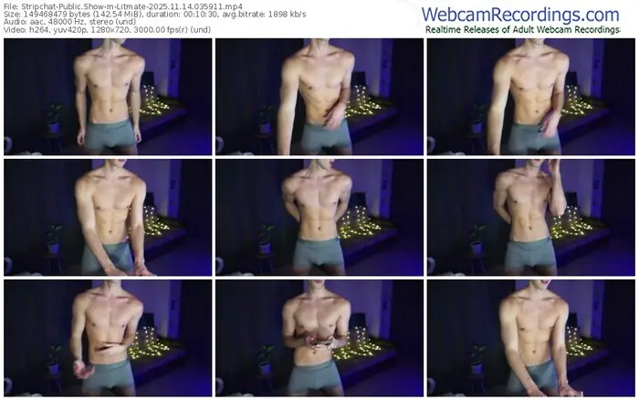 stripchat-litmate-11-14-2025-03-59-11