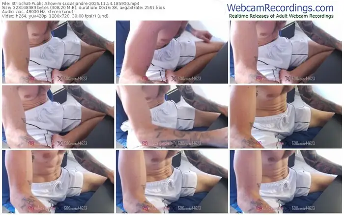 stripchat-lucasjandre-11-14-2025-18-59-00