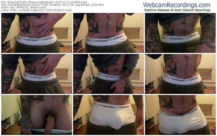 stripchat-tattedupsir-11-14-2025-16-40-06