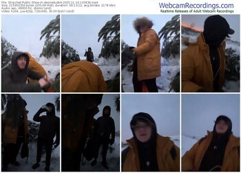 stripchat-desiredude9-11-14-2025-10-38-36