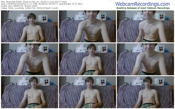 stripchat-hilt_on_-11-14-2025-12-27-17