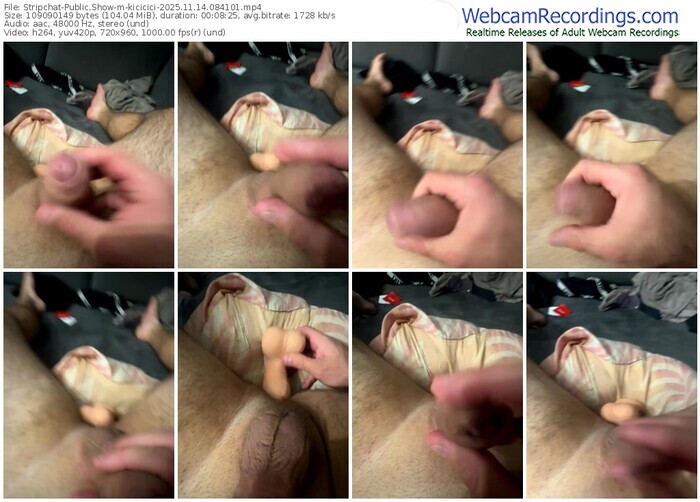 stripchat-kicicici-11-14-2025-08-41-01