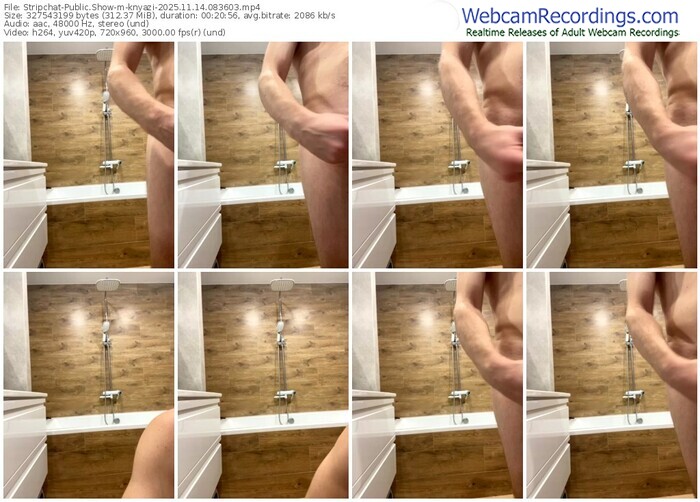 stripchat-knyazi-11-14-2025-08-36-03