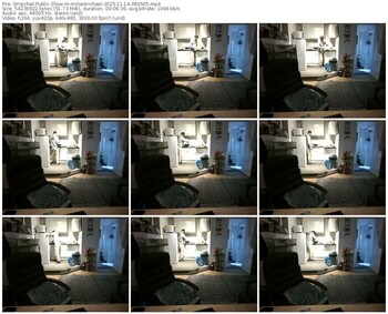 stripchat-mihaimichael-11-14-2025-09-05-05