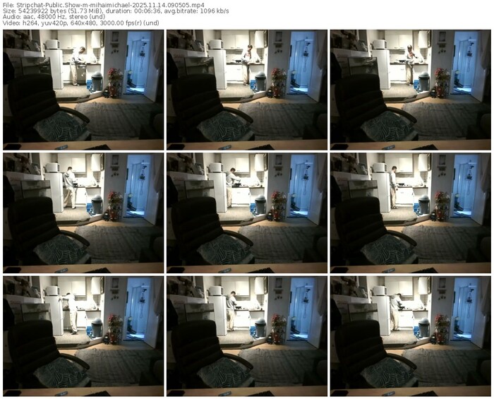 stripchat-mihaimichael-11-14-2025-09-05-05