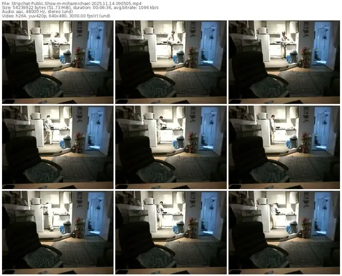 stripchat-mihaimichael-11-14-2025-09-05-05