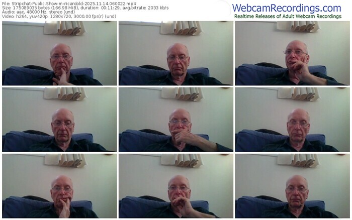 stripchat-ricardold-11-14-2025-06-00-22