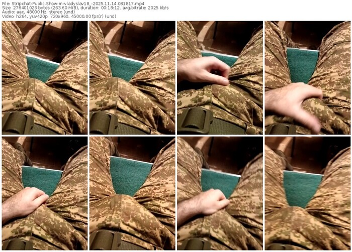 stripchat-vladyslav18_-11-14-2025-08-18-17