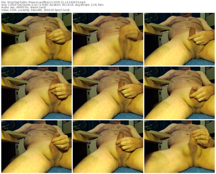 stripchat-wolfboy12-11-14-2025-16-26-23