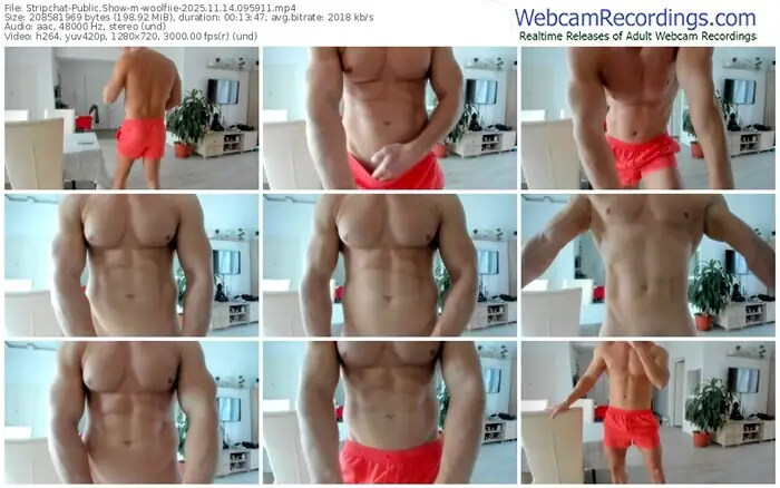 stripchat-woolfiie-11-14-2025-09-59-11