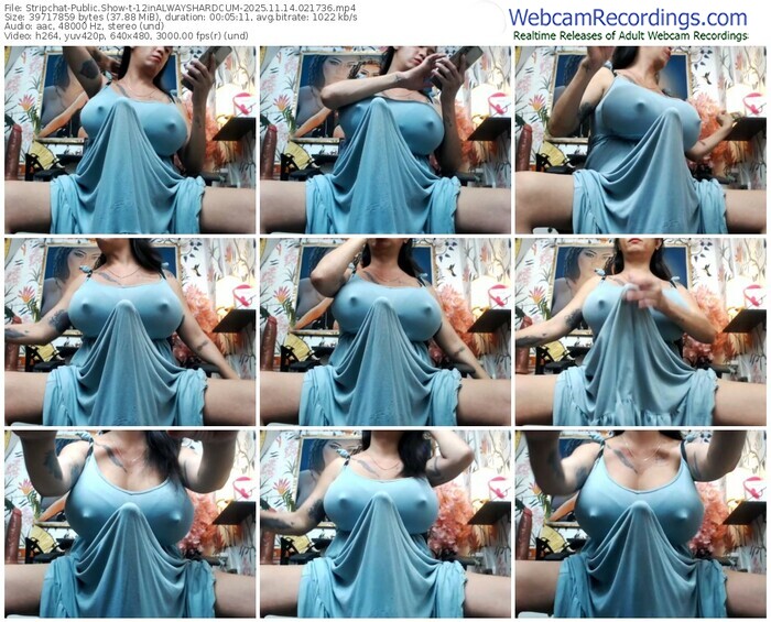 stripchat-12inalwayshardcum-11-14-2025-02-17-36