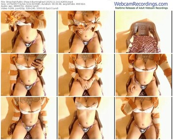 stripchat-burningdevil-11-14-2025-14-26-50