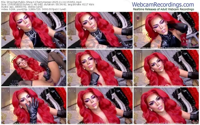 stripchat-cherryharper-11-14-2025-15-34-51