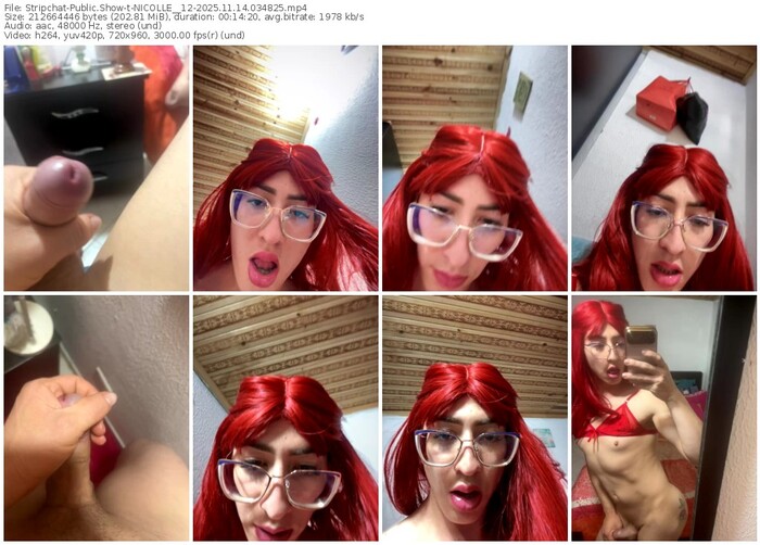 stripchat-nicolle__12-11-14-2025-03-48-25