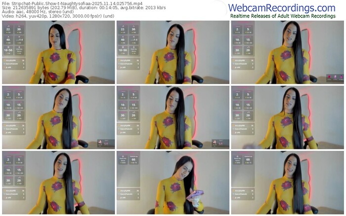 stripchat-naughtysofiaa-11-14-2025-02-57-56