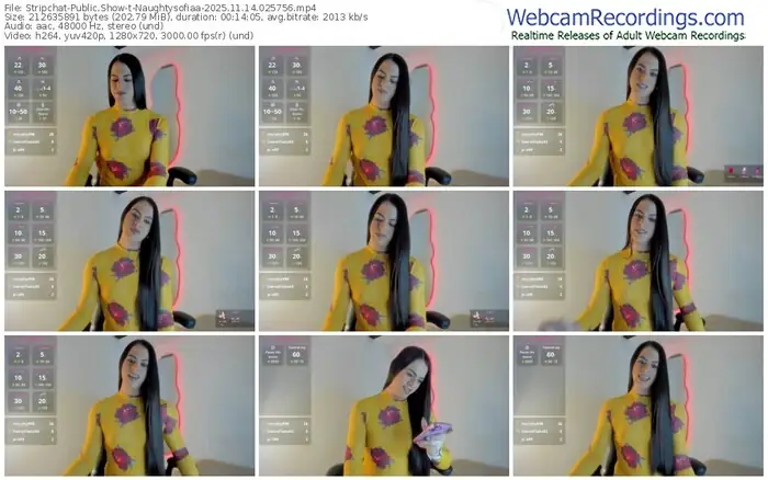 stripchat-naughtysofiaa-11-14-2025-02-57-56