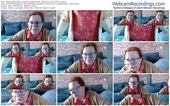 stripchat-adelewildx-11-15-2025-12-01-16