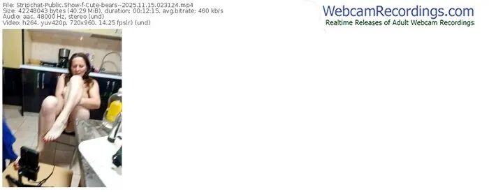 stripchat-cute-bears--11-15-2025-02-31-24
