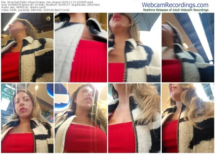 stripchat-karen_san_miguel-11-15-2025-20-06-35