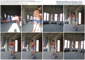 stripchat-mariusvidican-11-15-2025-10-24-03