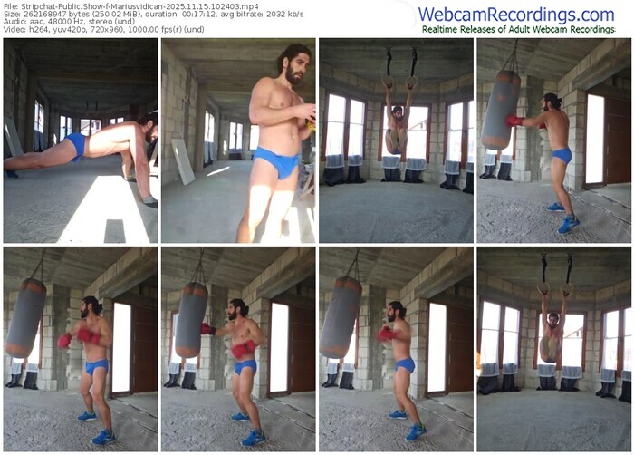 stripchat-mariusvidican-11-15-2025-10-24-03