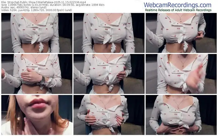 stripchat-merlepalaia-11-15-2025-02-15-36