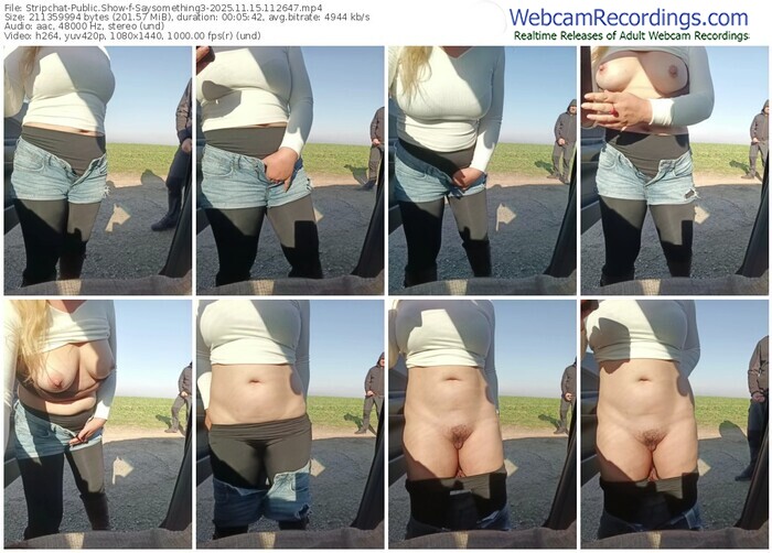 stripchat-saysomething3-11-15-2025-11-26-47