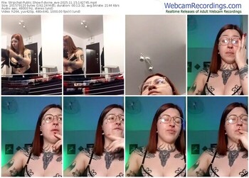 stripchat-divine_eve-11-15-2025-14-27-45