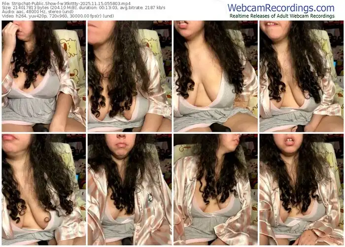 stripchat-w3tkittty-11-15-2025-05-58-03