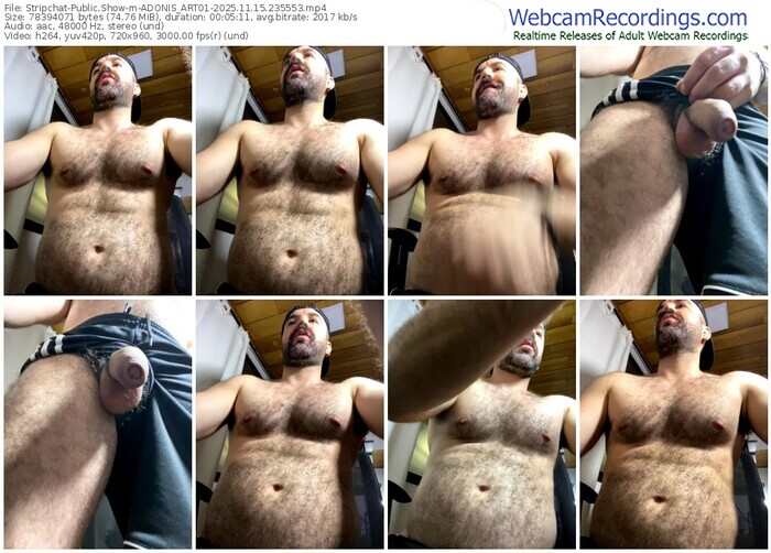 stripchat-adonis_art01-11-15-2025-23-55-53