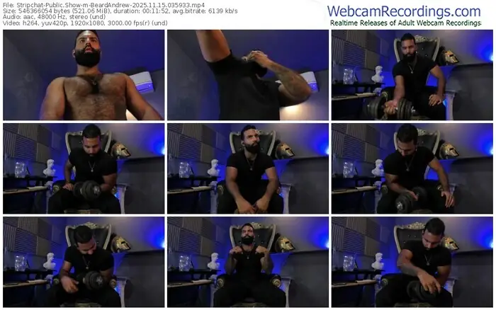 stripchat-beardandrew-11-15-2025-03-59-33