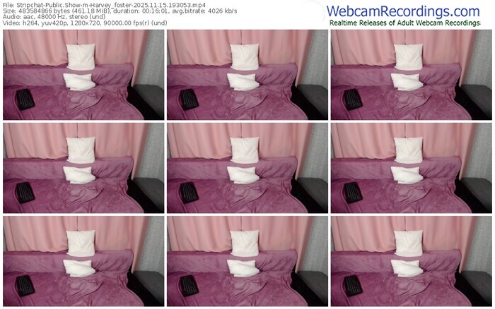 stripchat-harvey_foster-11-15-2025-19-30-53