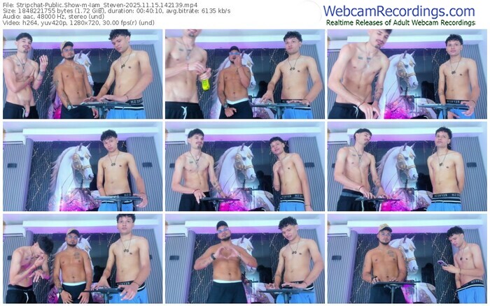 stripchat-iam_steven-11-15-2025-14-21-39